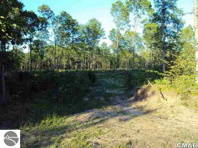 4045 South Castor Road Breckenridge, MI 48615 - Photo 9 of 10 1770177-8.JPG