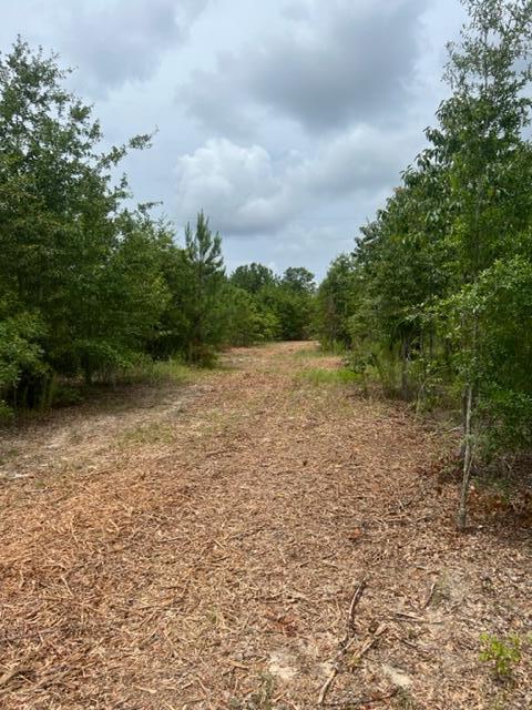 Lot 18 Cooks Bridge Road Aiken, SC 29801 - Photo 2 of 15