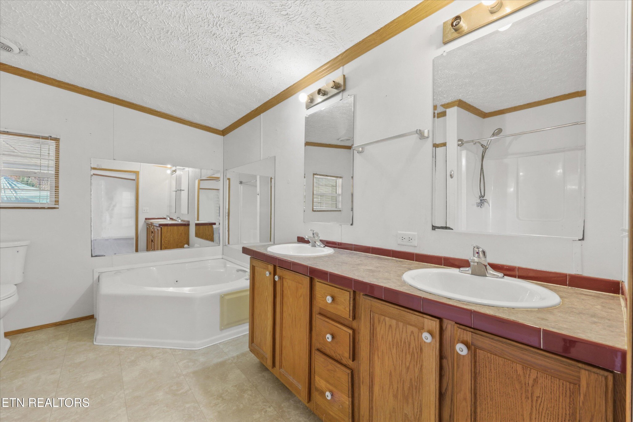 1130 Williamson Chapel Road Maryville, TN 37801 - Photo 20 of 36 a spacious bathroom with a double vanity sink a mirror and a bathtub