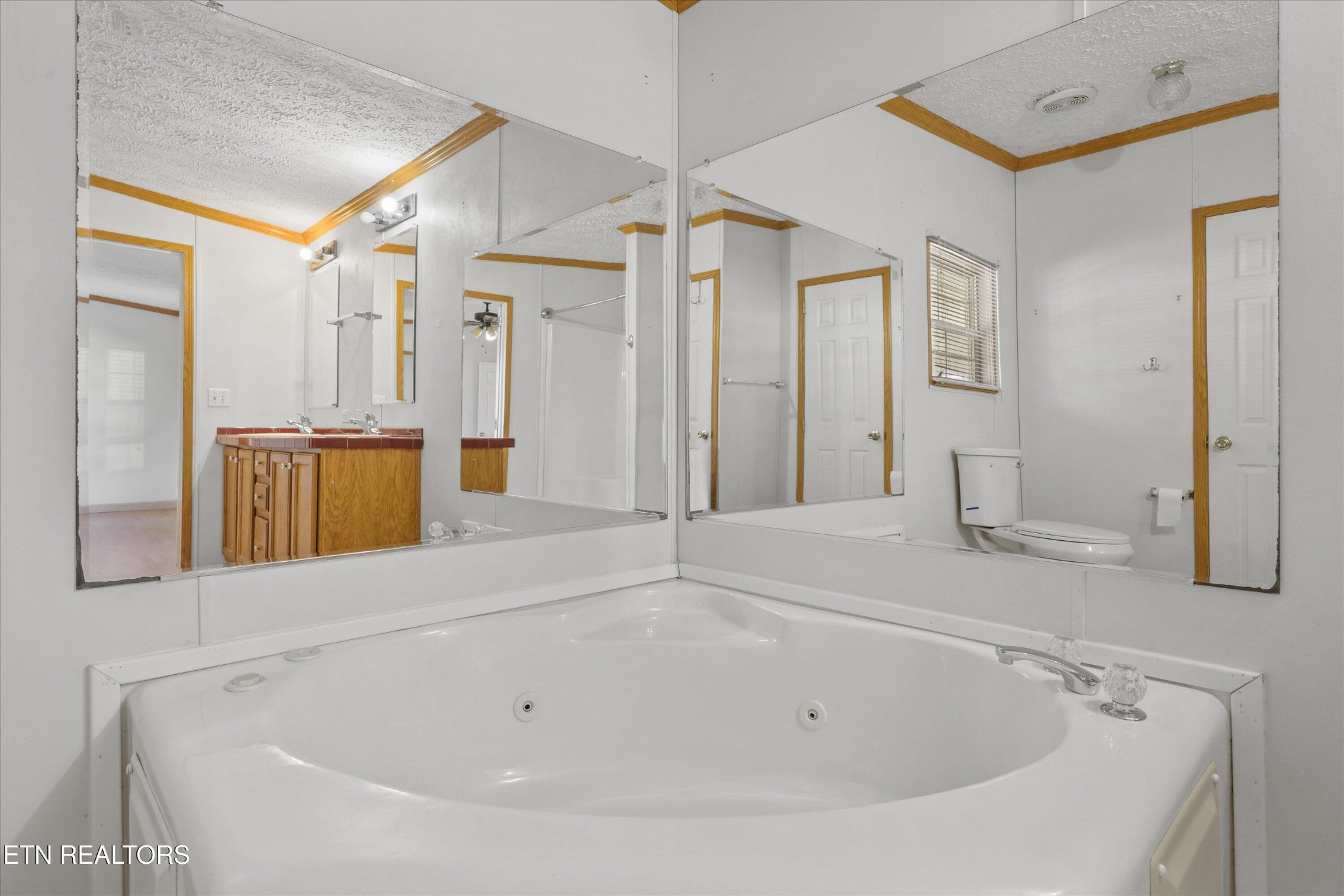 1130 Williamson Chapel Road Maryville, TN 37801 - Photo 22 of 36 a bathroom with a tub sink and mirror