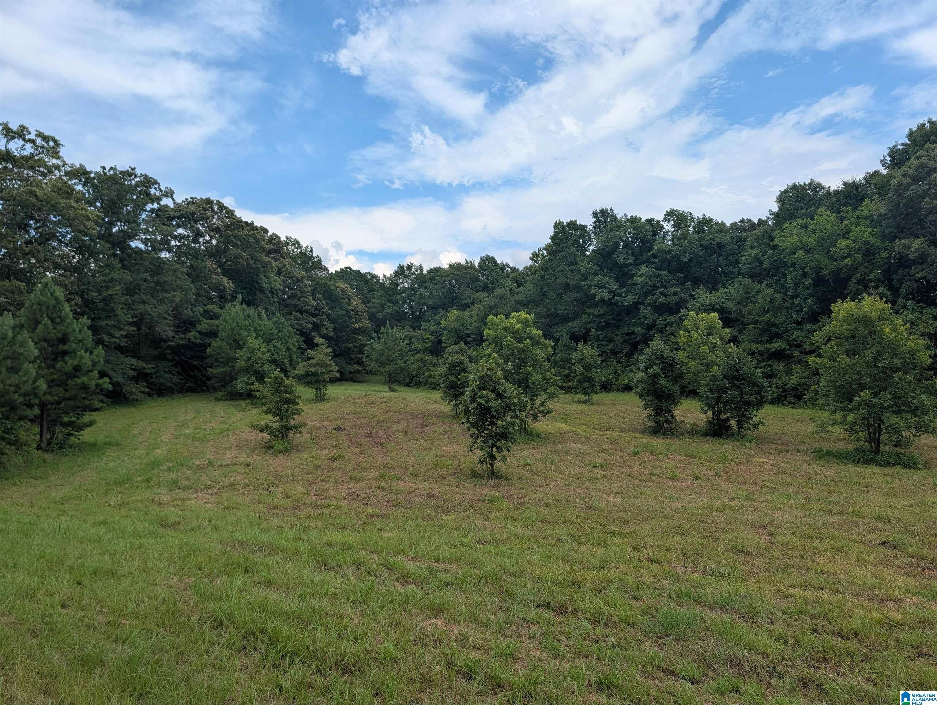 0 Barclay Road Alpine, AL 35014 - Photo 5 of 26 Gallery Image 5