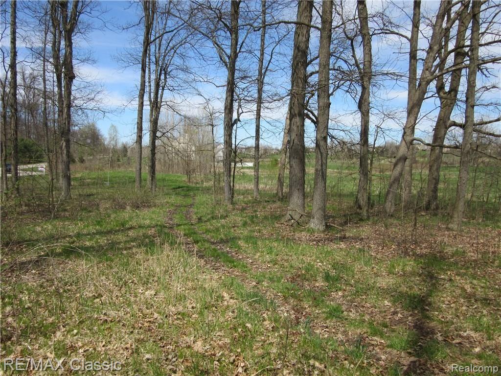 5 Foldenauer Drive Howell, MI 48843 - Photo 7 of 8