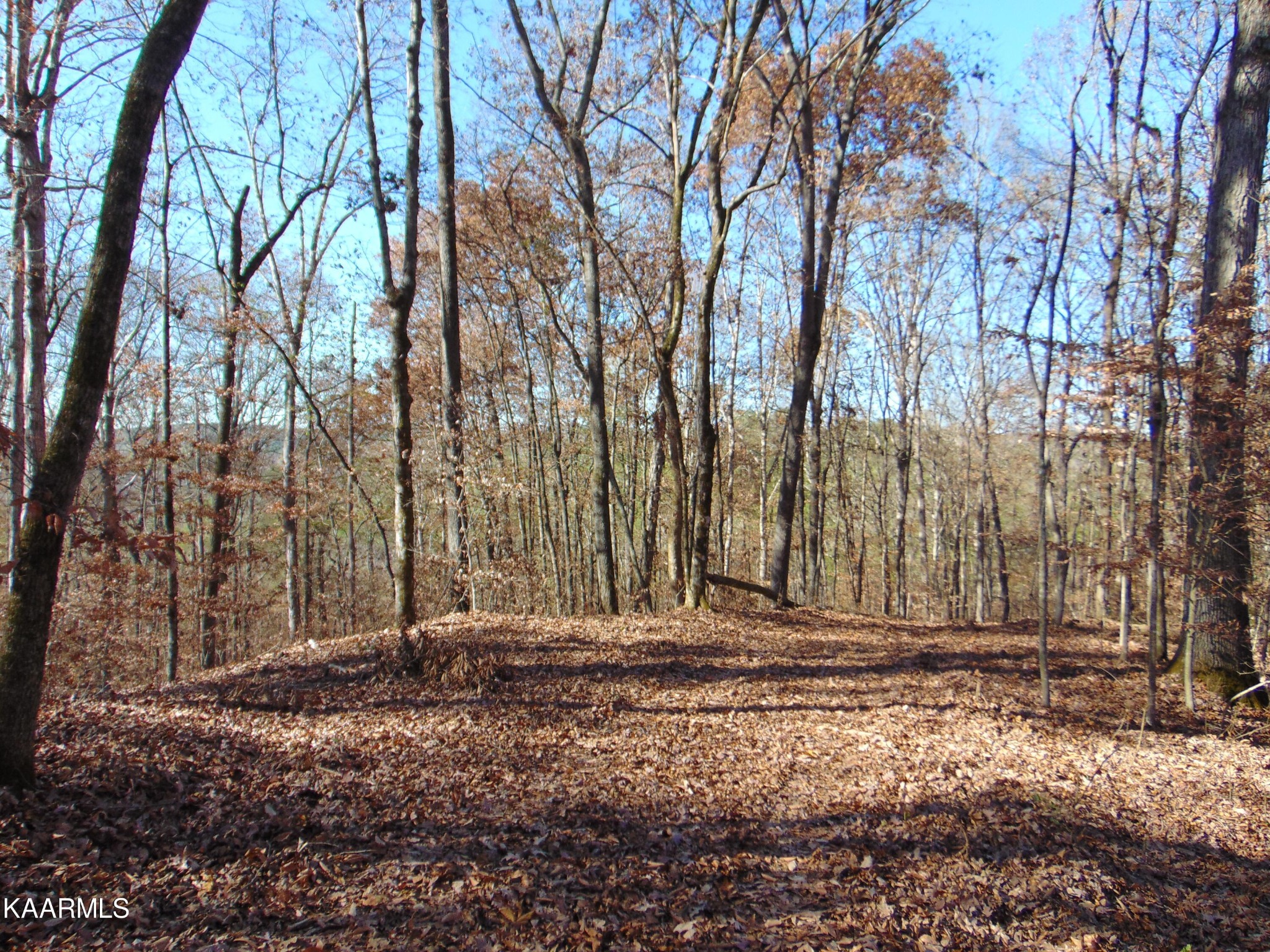 1056 County Road 179 Decatur, TN 37322 - Photo 7 of 24
