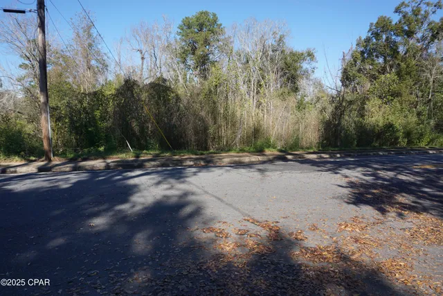 $15,000 | 121 Hickory Street, Chattahoochee, FL 32324