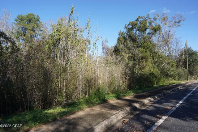 $15,000 | 121 Hickory Street, Chattahoochee, FL 32324