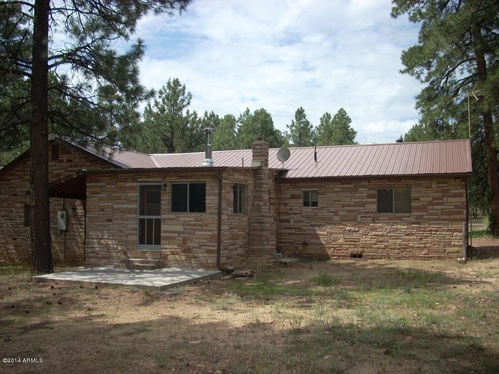 2857 Pine Rim Drive Overgaard, AZ 85933 - Photo 11 of 46 back of home