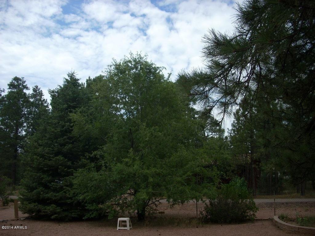 2857 Pine Rim Drive Overgaard, AZ 85933 - Photo 45 of 46 trees (1)