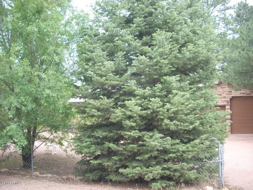 2857 Pine Rim Drive Overgaard, AZ 85933 - Photo 46 of 46 trees (2)