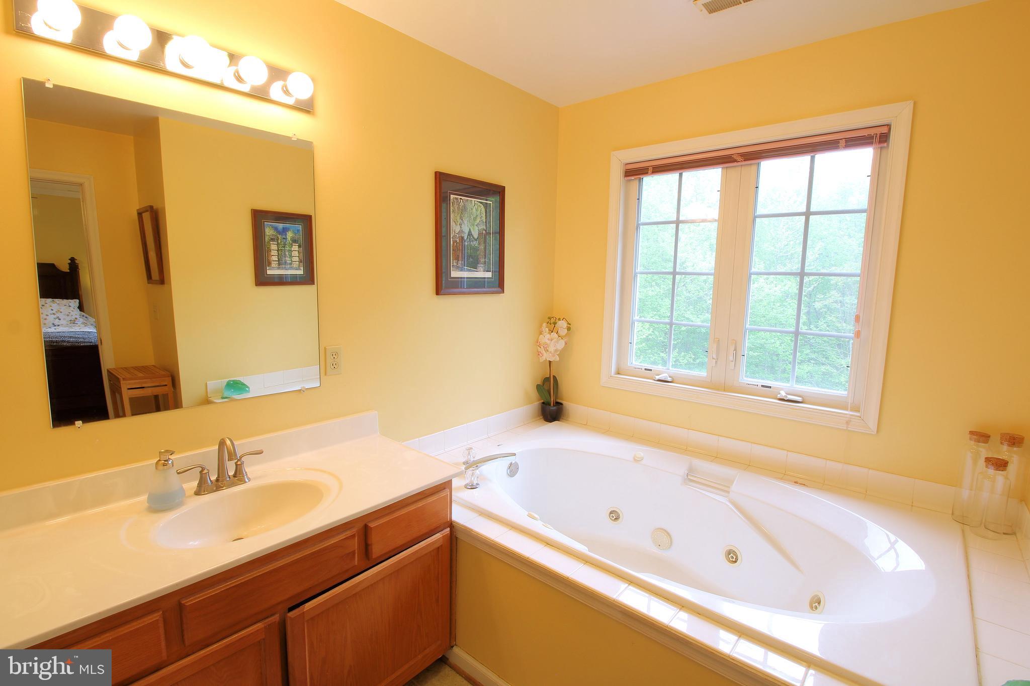 28301 Walnut Ridge Way Rhoadesville, VA 22542 - Photo 9 of 30 Master Bath View 1 - Overlooks Private Rear Yard