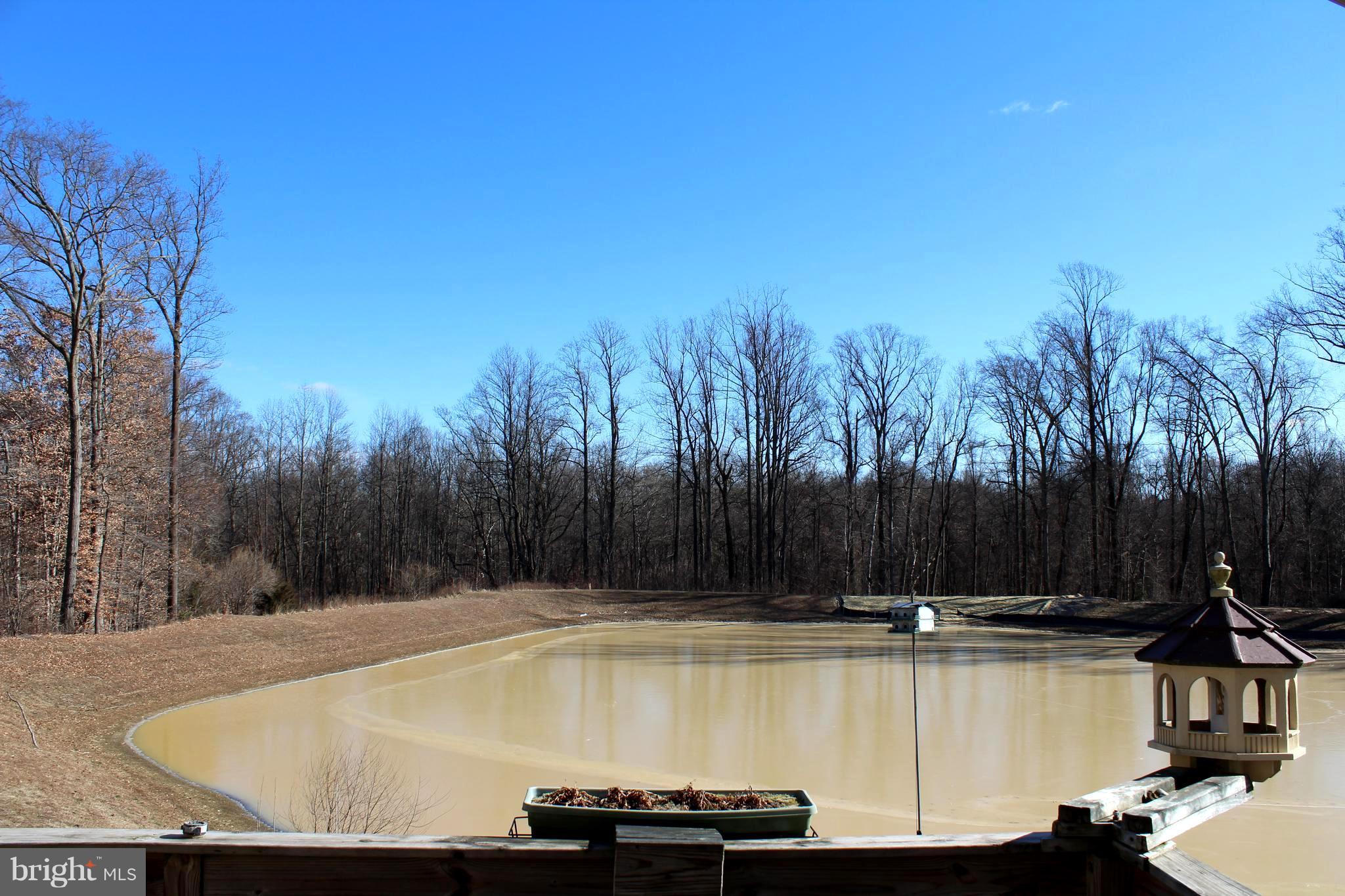 106 Hummingbird Way Sewell, NJ 08080 - Photo 3 of 11 Pond in winter...Ducks & Deer Visit