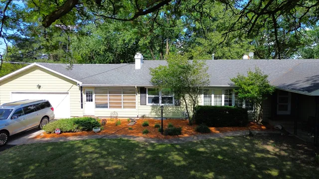 a view of backyard with potted plants and a large tree