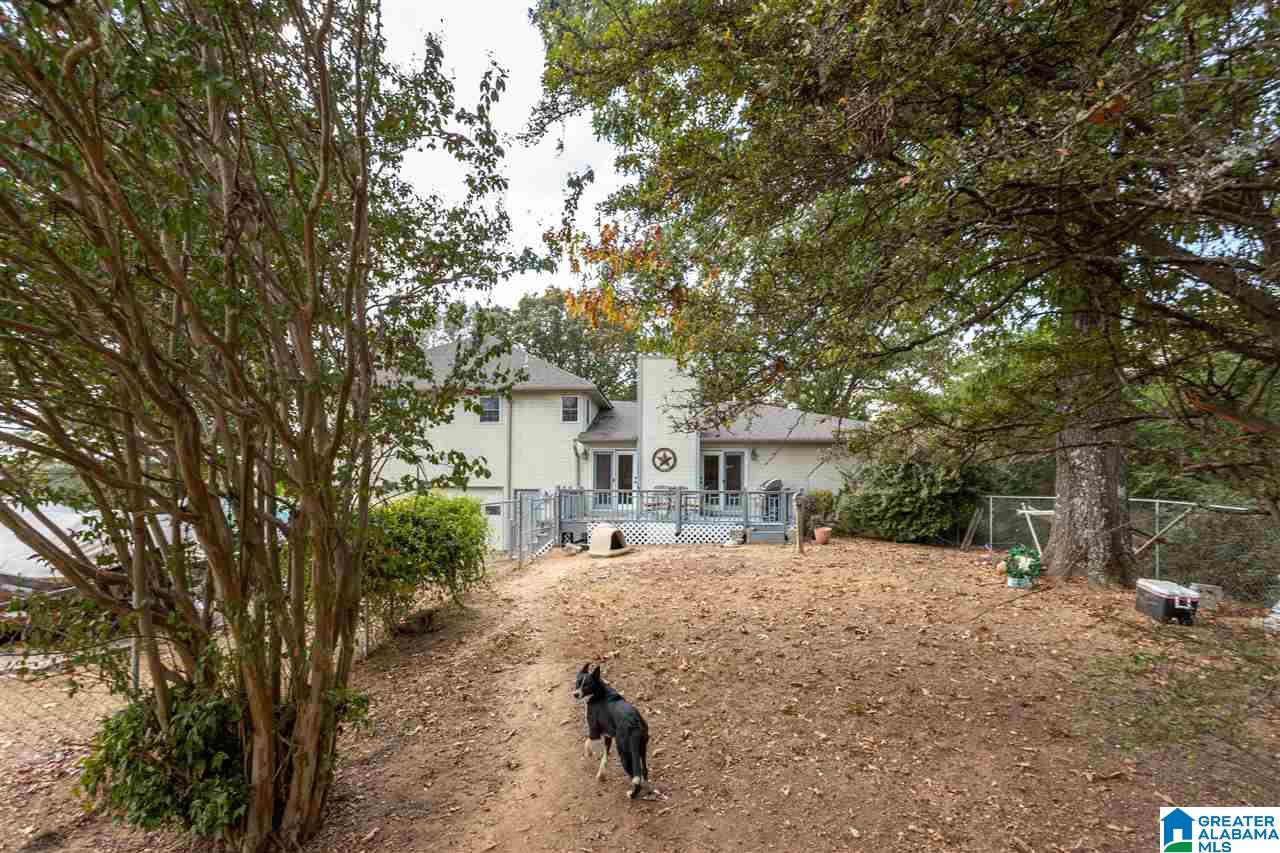 110 Mt Moriah Road Pell City, AL 35125 - Photo 40 of 44