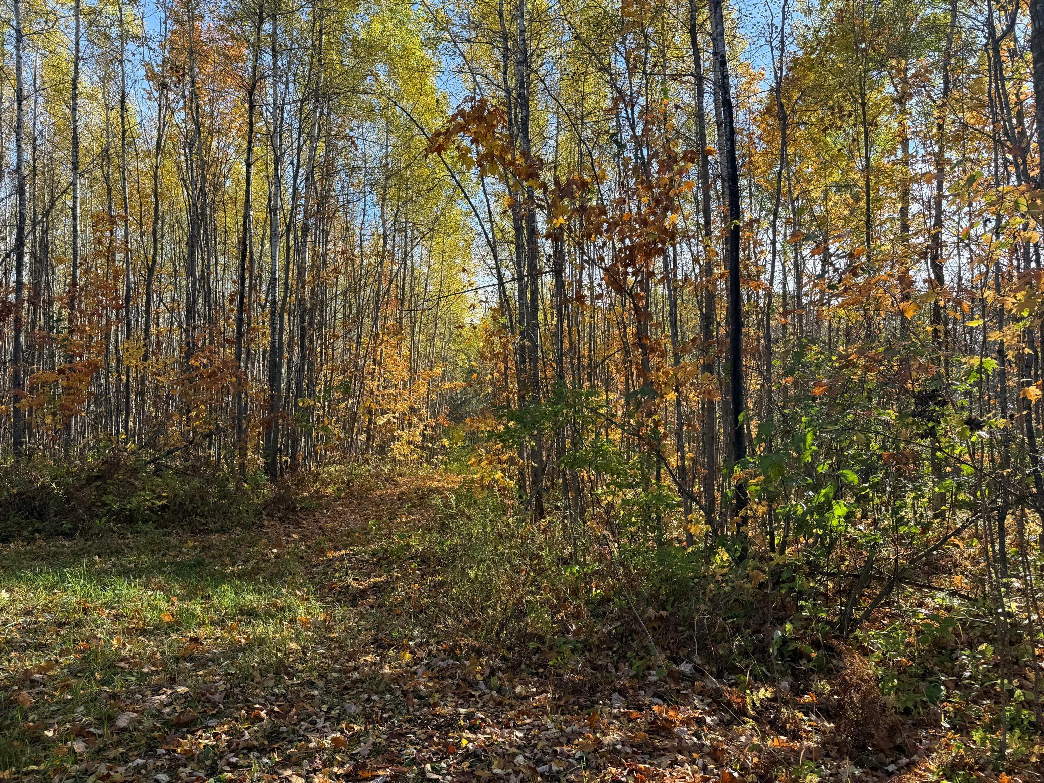 Na Na Na Barnum, MN 55707 - Photo 11 of 42