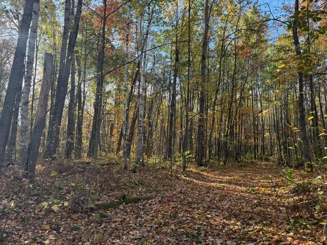 $140,000 | Na Na Na, Barnum, MN 55707