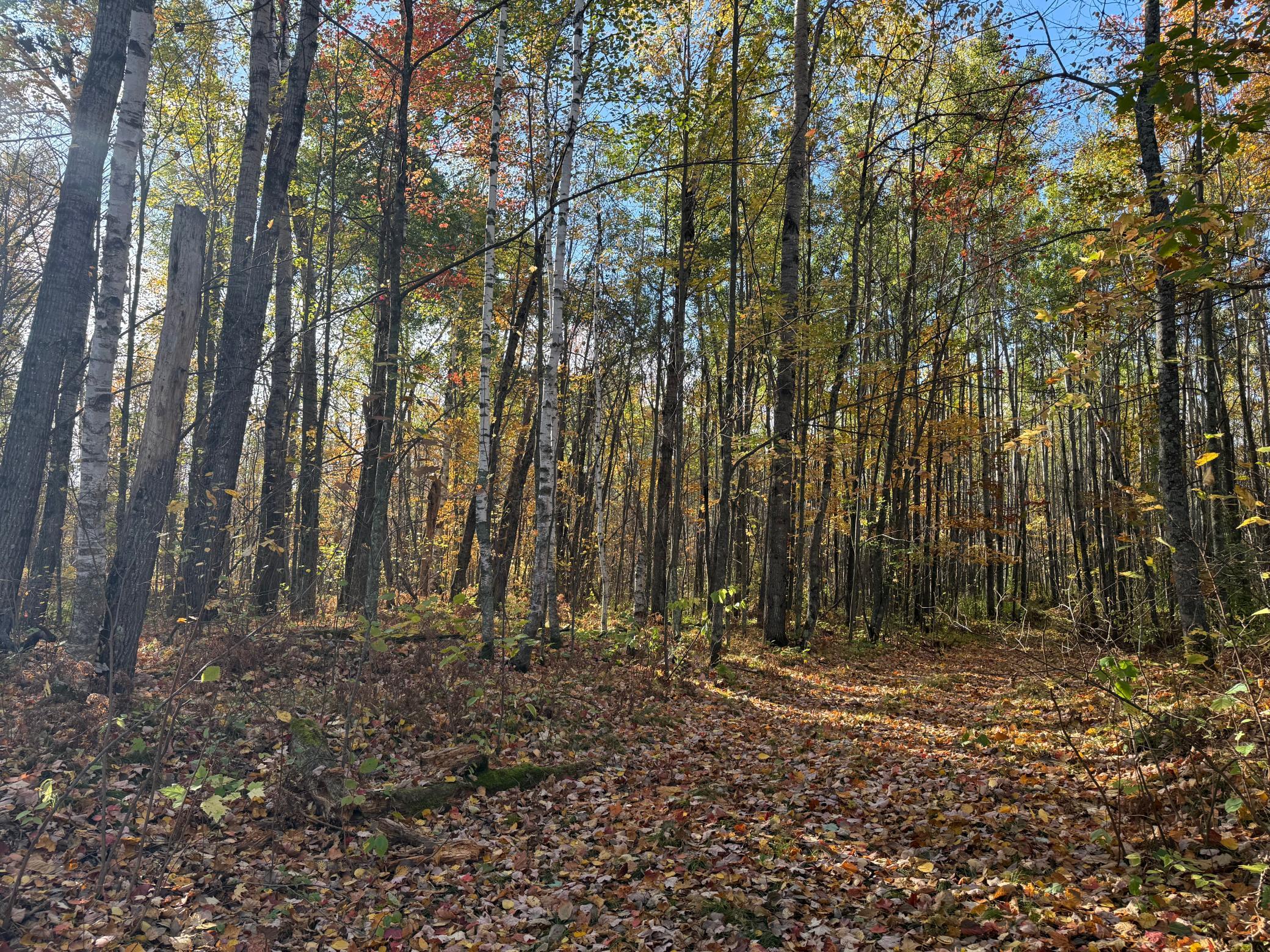 Na Na Na Barnum, MN 55707 - Photo 13 of 42