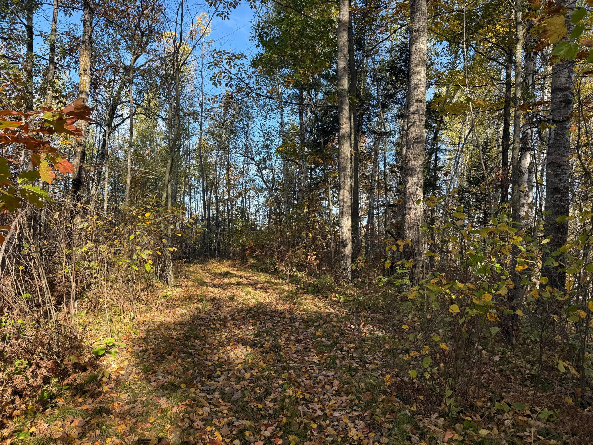 Na Na Na Barnum, MN 55707 - Photo 15 of 42
