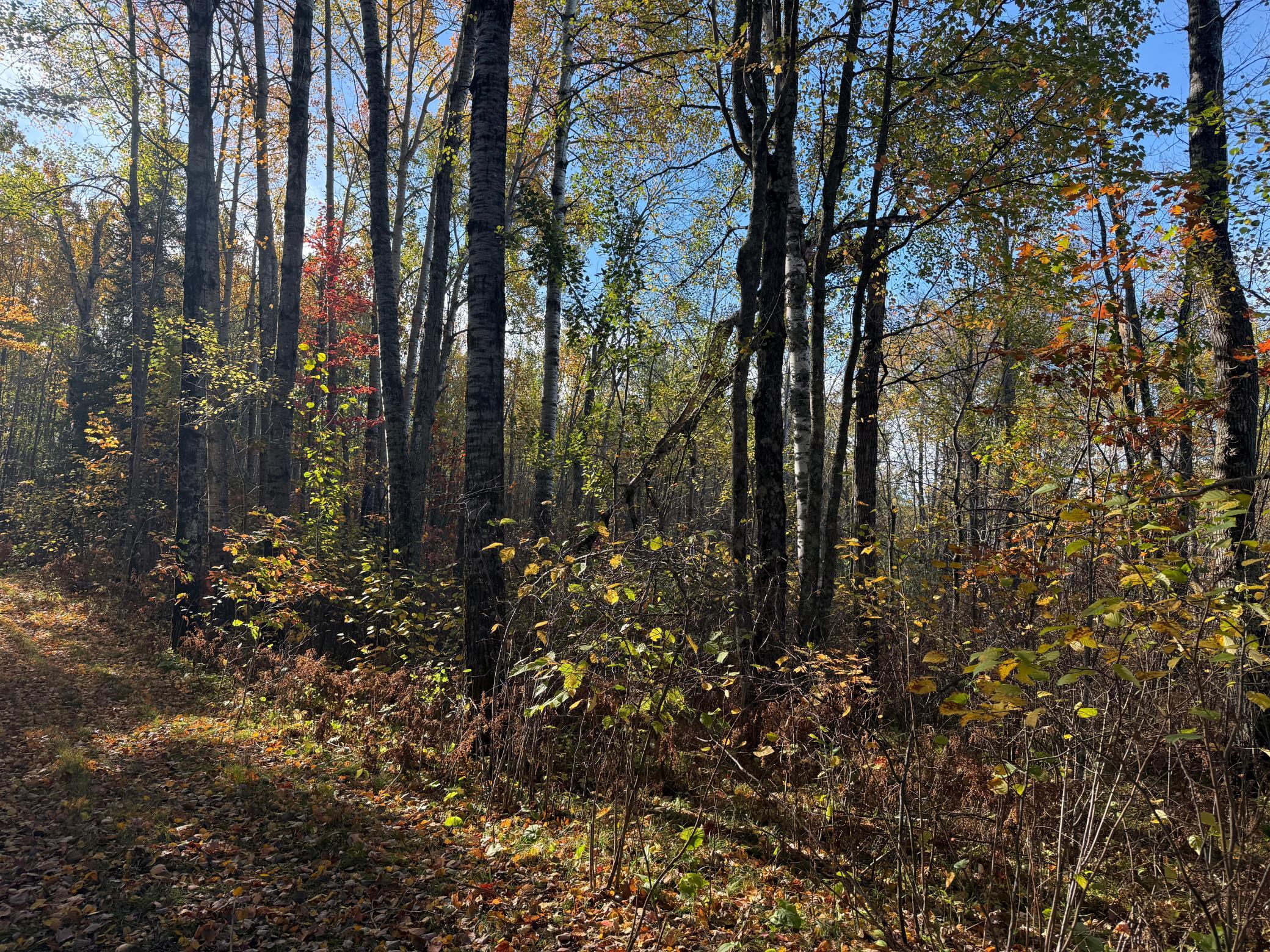 Na Na Na Barnum, MN 55707 - Photo 16 of 42