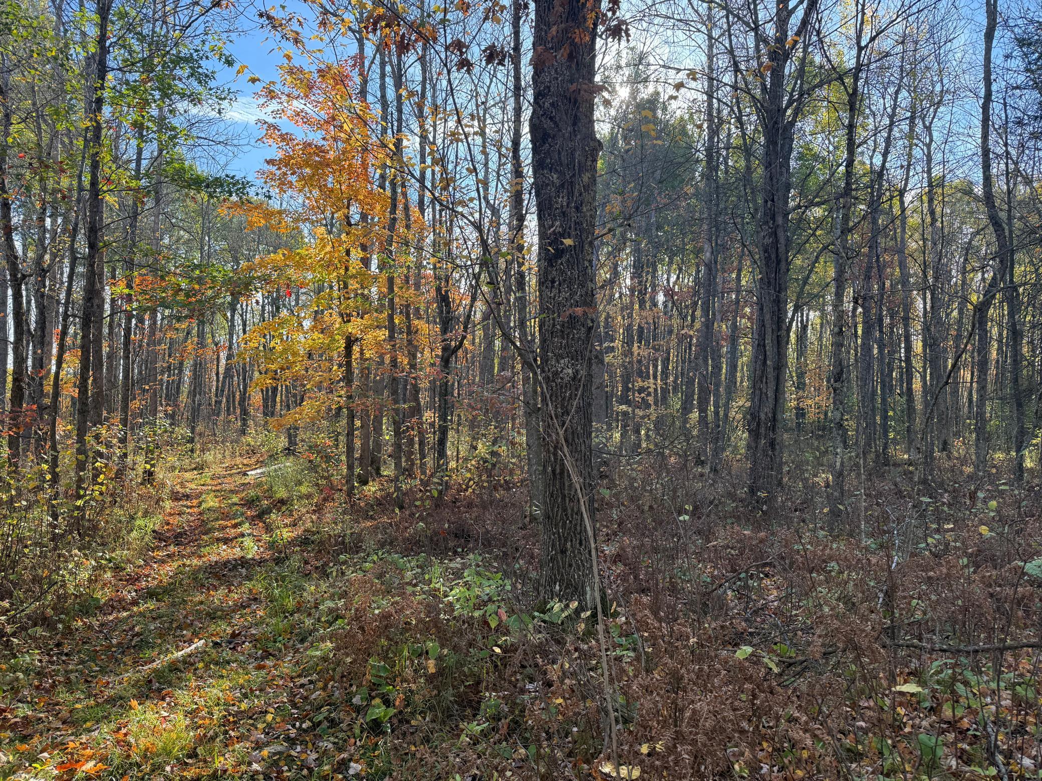 Na Na Na Barnum, MN 55707 - Photo 18 of 42