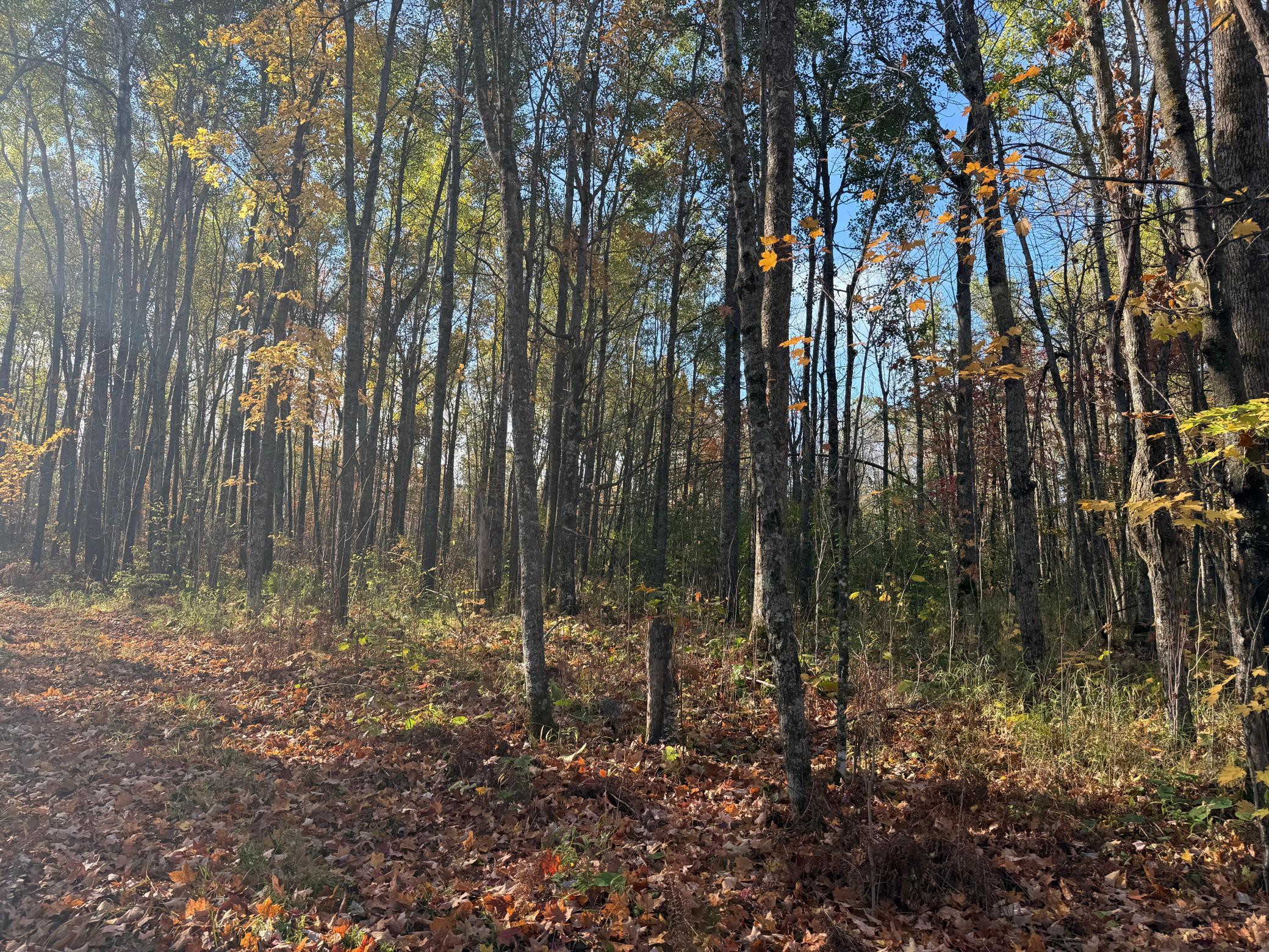 Na Na Na Barnum, MN 55707 - Photo 19 of 42