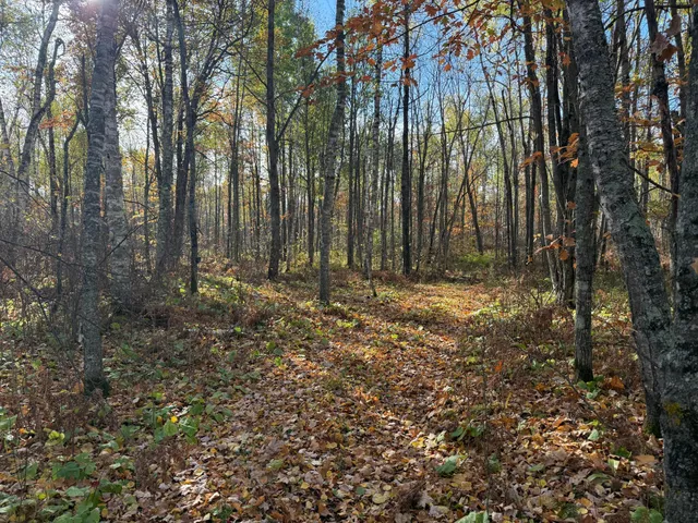 $140,000 | Na Na Na, Barnum, MN 55707