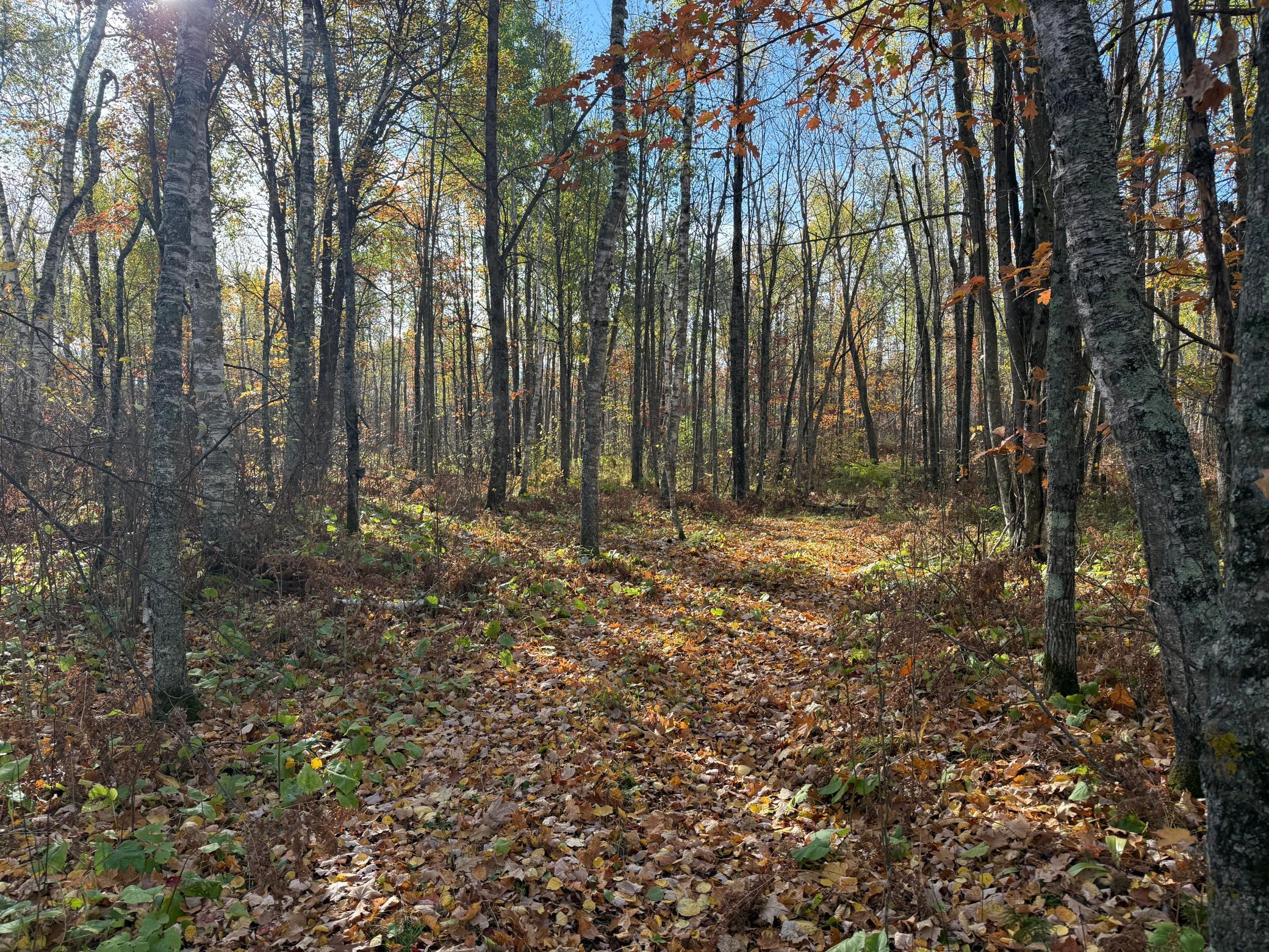 Na Na Na Barnum, MN 55707 - Photo 21 of 42