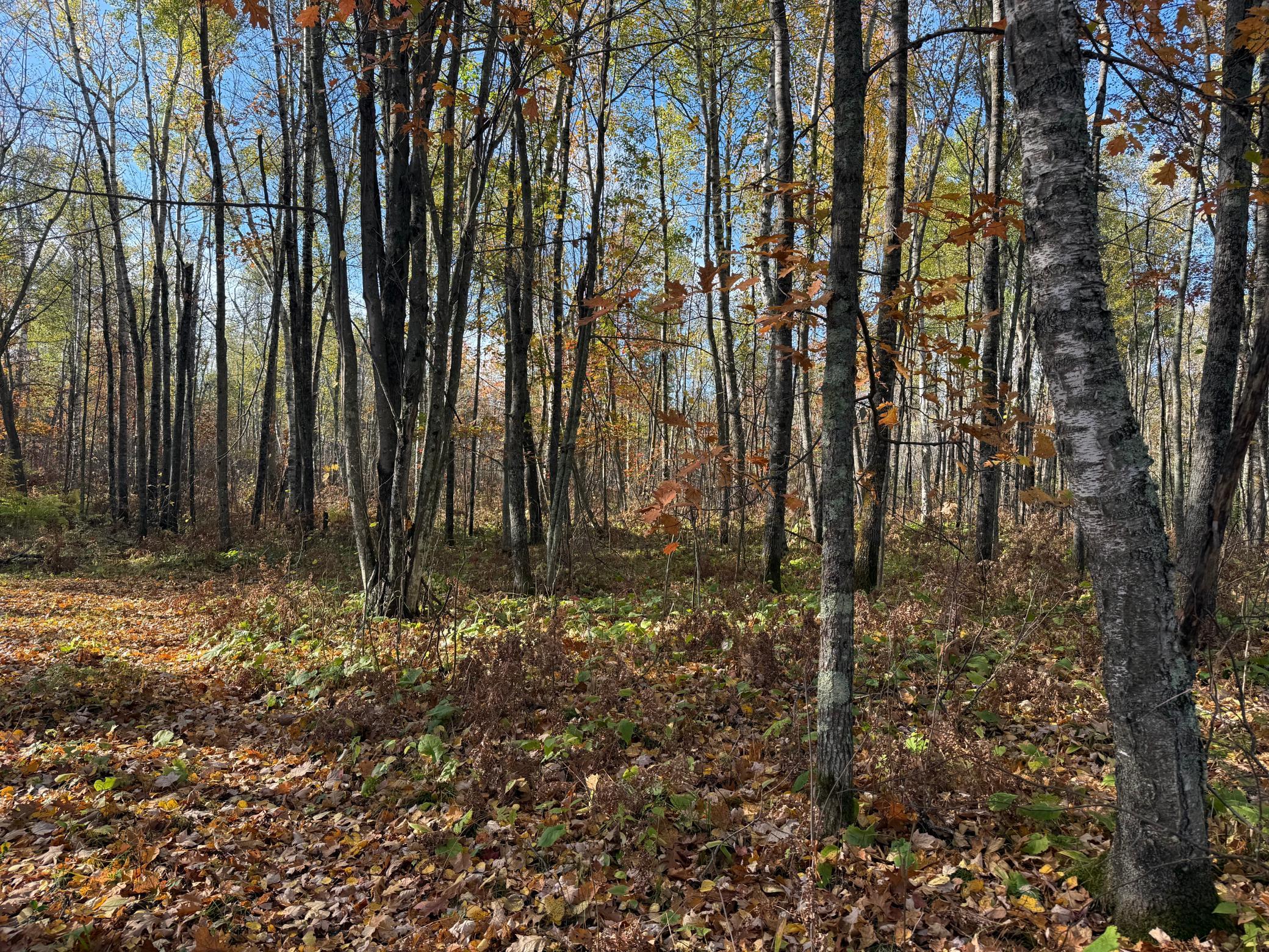 Na Na Na Barnum, MN 55707 - Photo 22 of 42