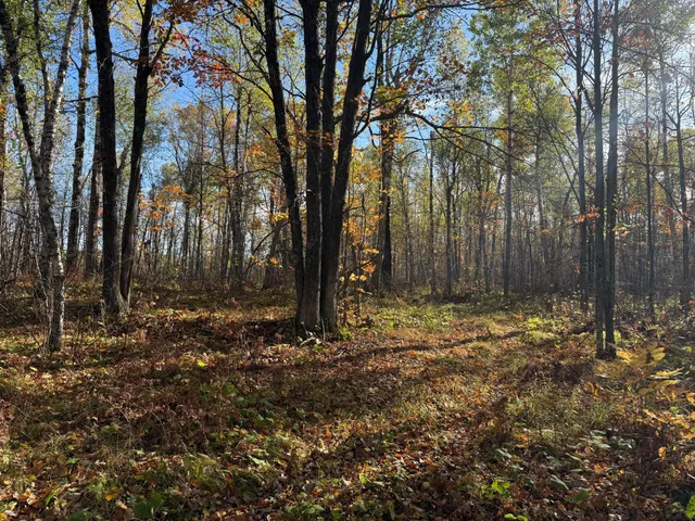 $140,000 | Na Na Na, Barnum, MN 55707