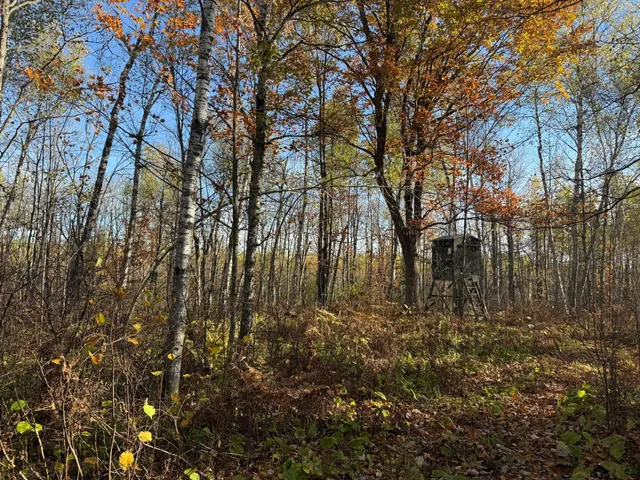 $140,000 | Na Na Na, Barnum, MN 55707