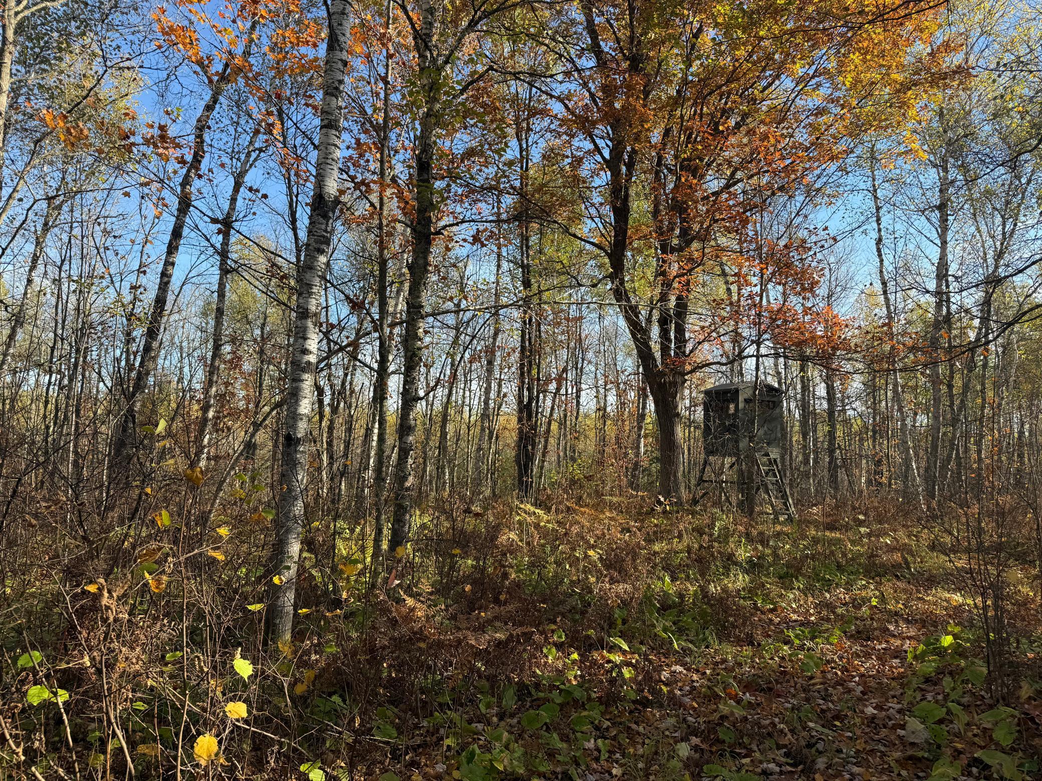 Na Na Na Barnum, MN 55707 - Photo 24 of 42