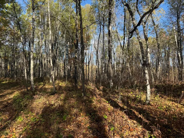 $140,000 | Na Na Na, Barnum, MN 55707