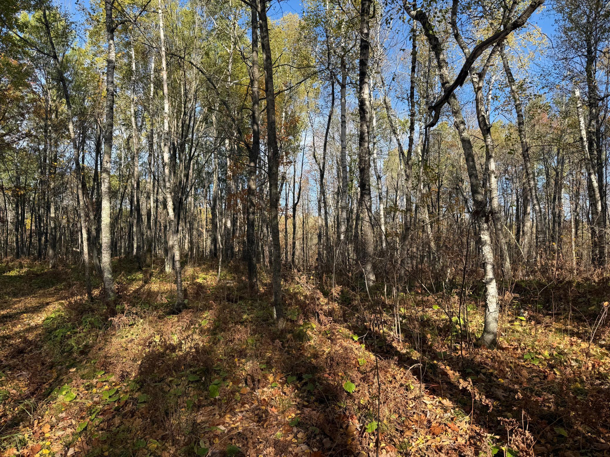 Na Na Na Barnum, MN 55707 - Photo 26 of 42