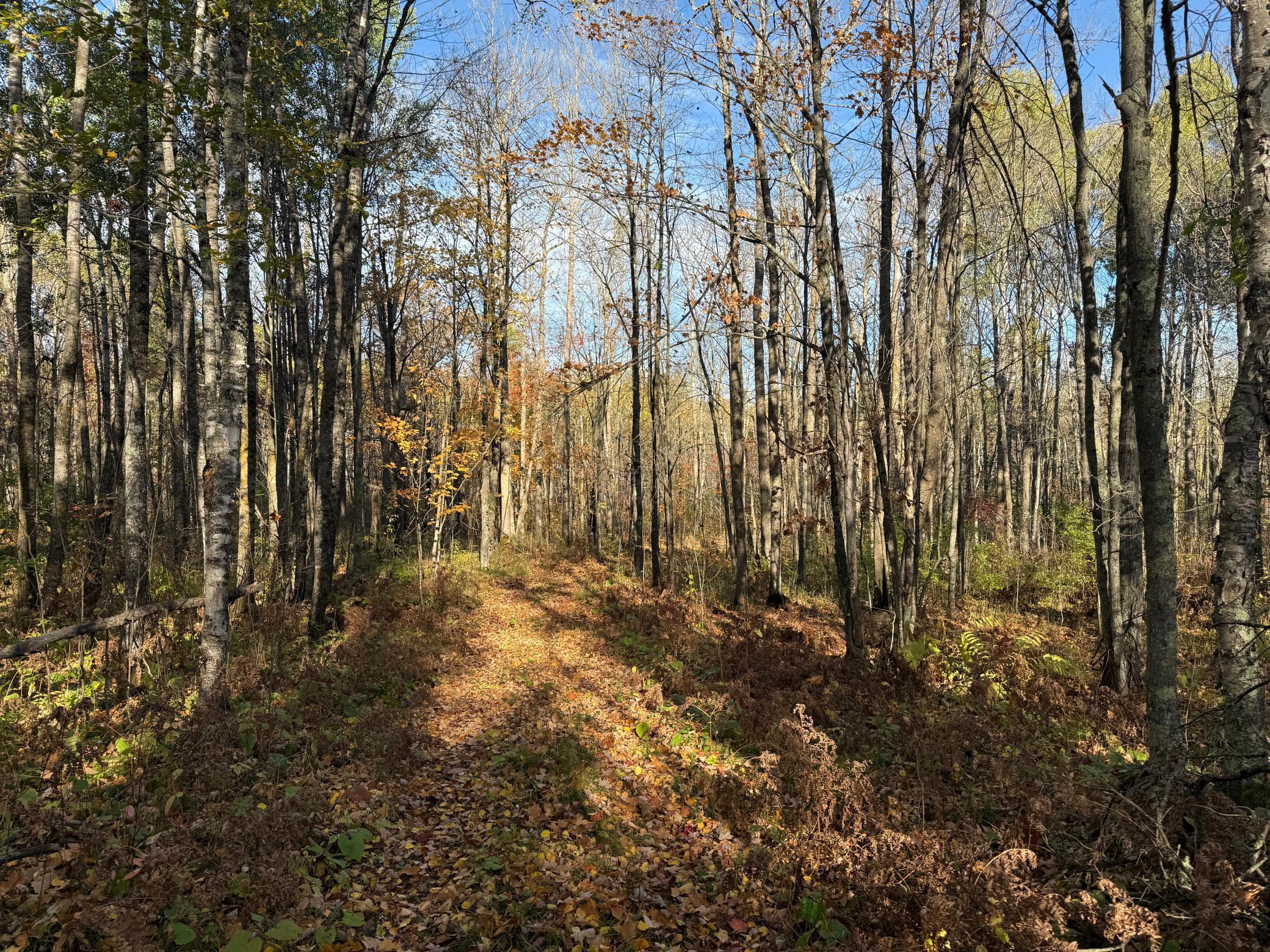 Na Na Na Barnum, MN 55707 - Photo 27 of 42