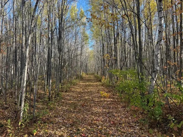 $140,000 | Na Na Na, Barnum, MN 55707