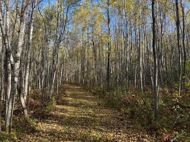 $140,000 | Na Na Na, Barnum, MN 55707