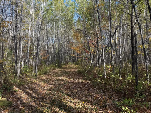 $140,000 | Na Na Na, Barnum, MN 55707