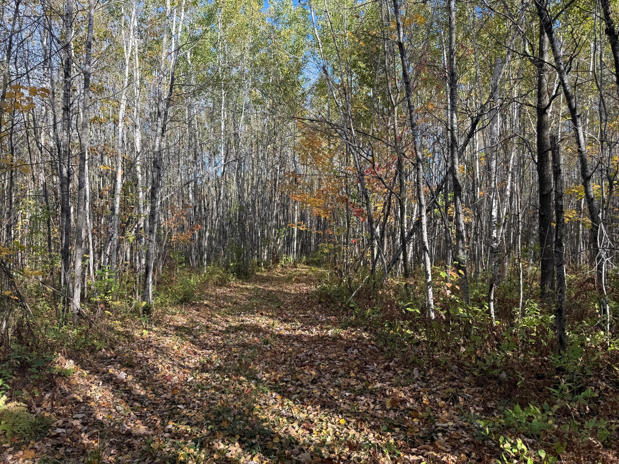 Na Na Na Barnum, MN 55707 - Photo 30 of 42