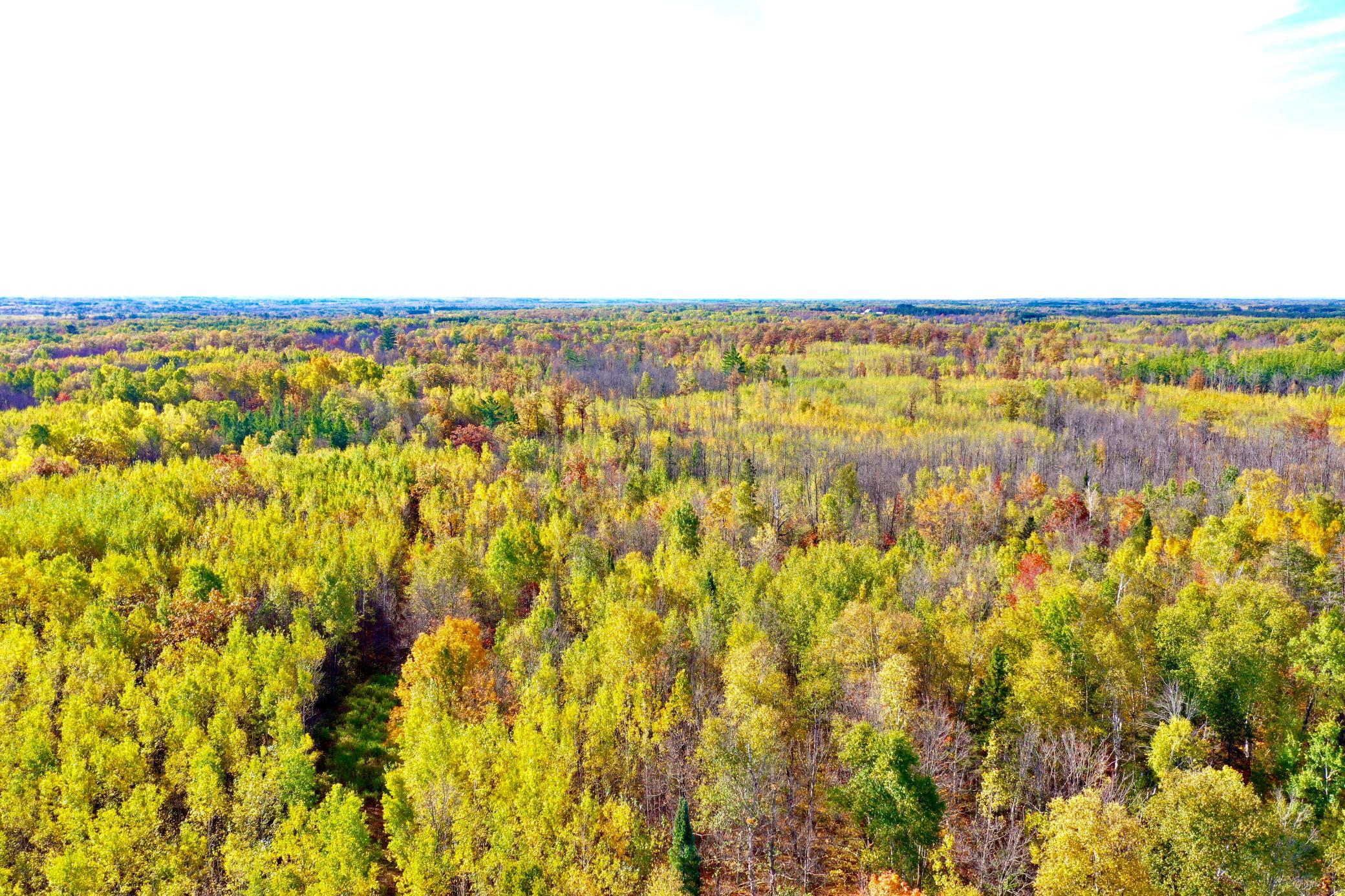 Na Na Na Barnum, MN 55707 - Photo 3 of 42