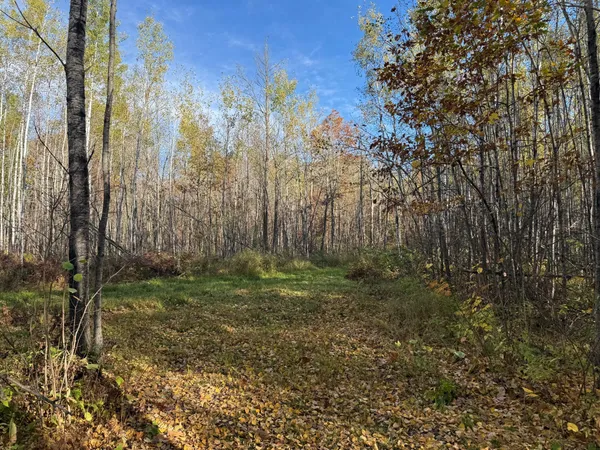 $140,000 | Na Na Na, Barnum, MN 55707