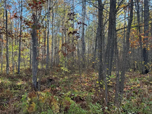 $140,000 | Na Na Na, Barnum, MN 55707