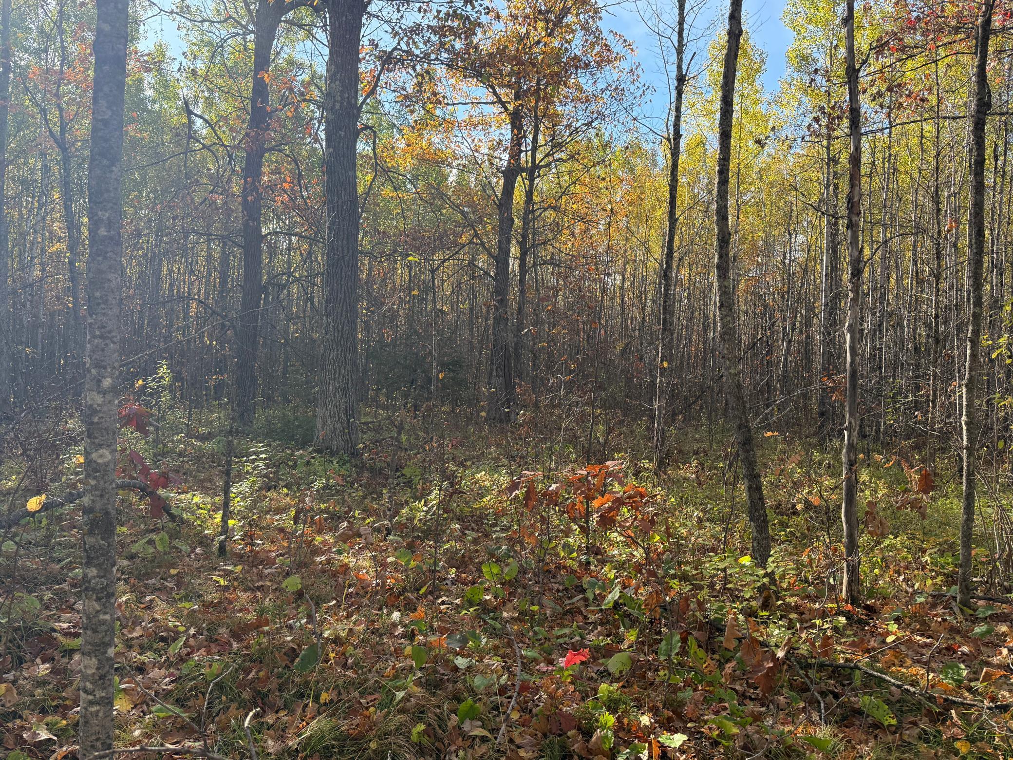 Na Na Na Barnum, MN 55707 - Photo 34 of 42