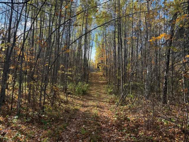 $140,000 | Na Na Na, Barnum, MN 55707