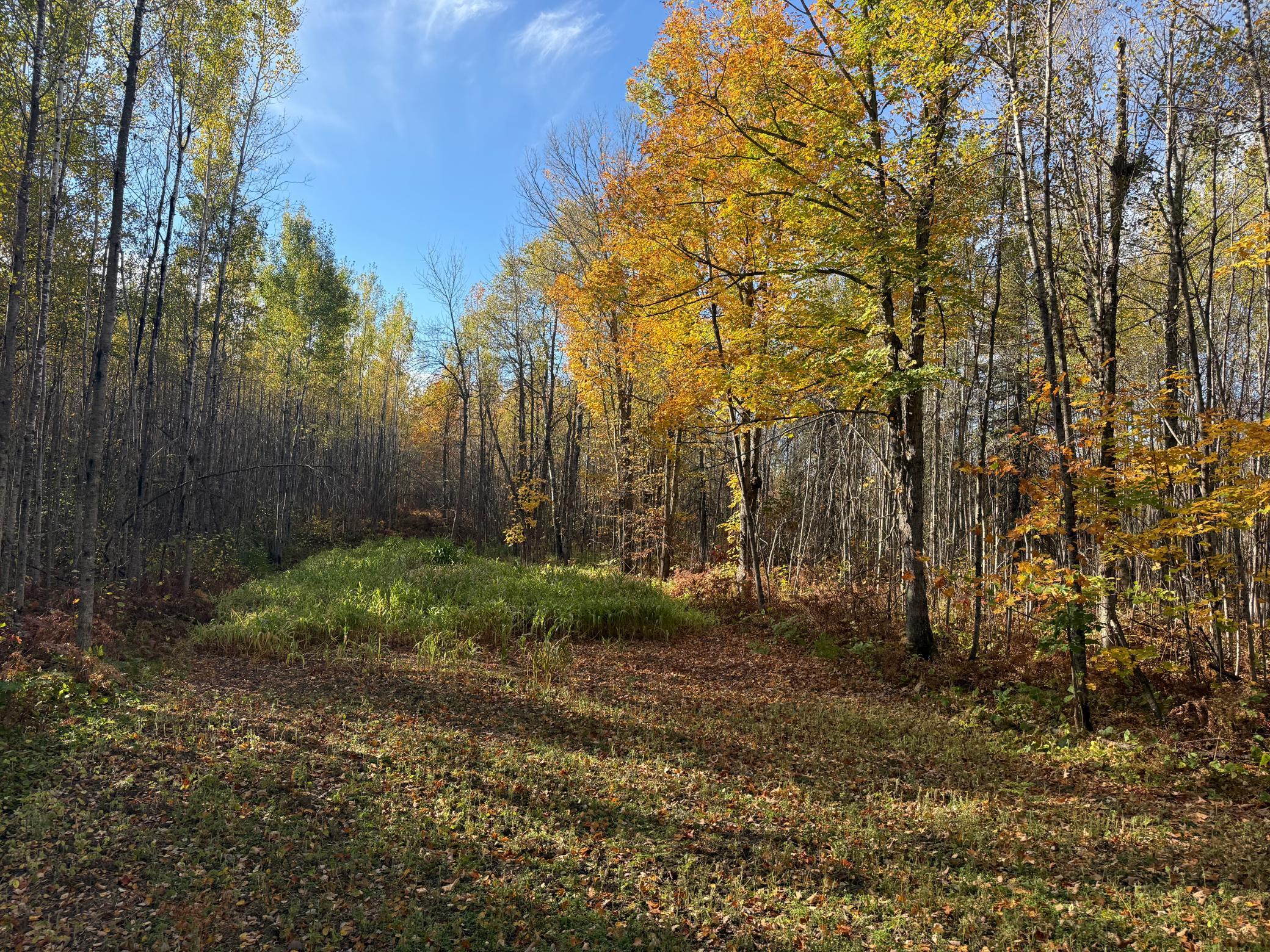 Na Na Na Barnum, MN 55707 - Photo 38 of 42
