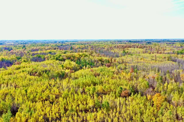 $140,000 | Na Na Na, Barnum, MN 55707