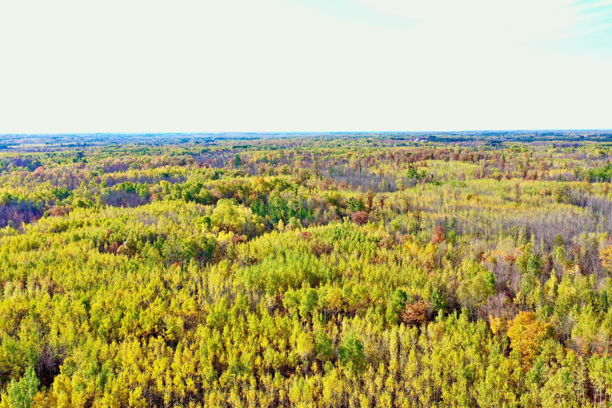 Na Na Na Barnum, MN 55707 - Photo 4 of 42