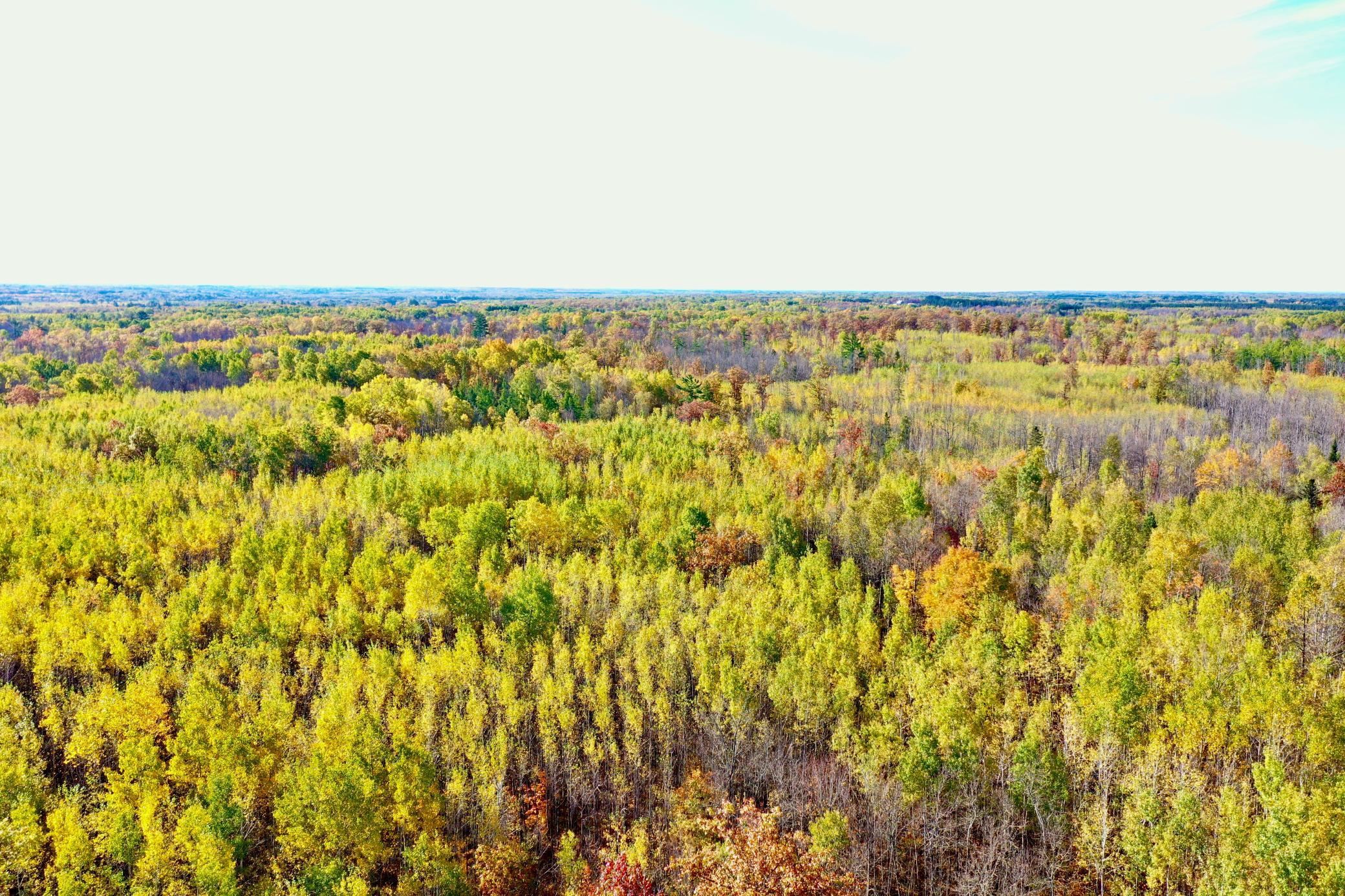 Na Na Na Barnum, MN 55707 - Photo 5 of 42