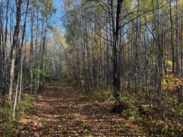 $140,000 | Na Na Na, Barnum, MN 55707