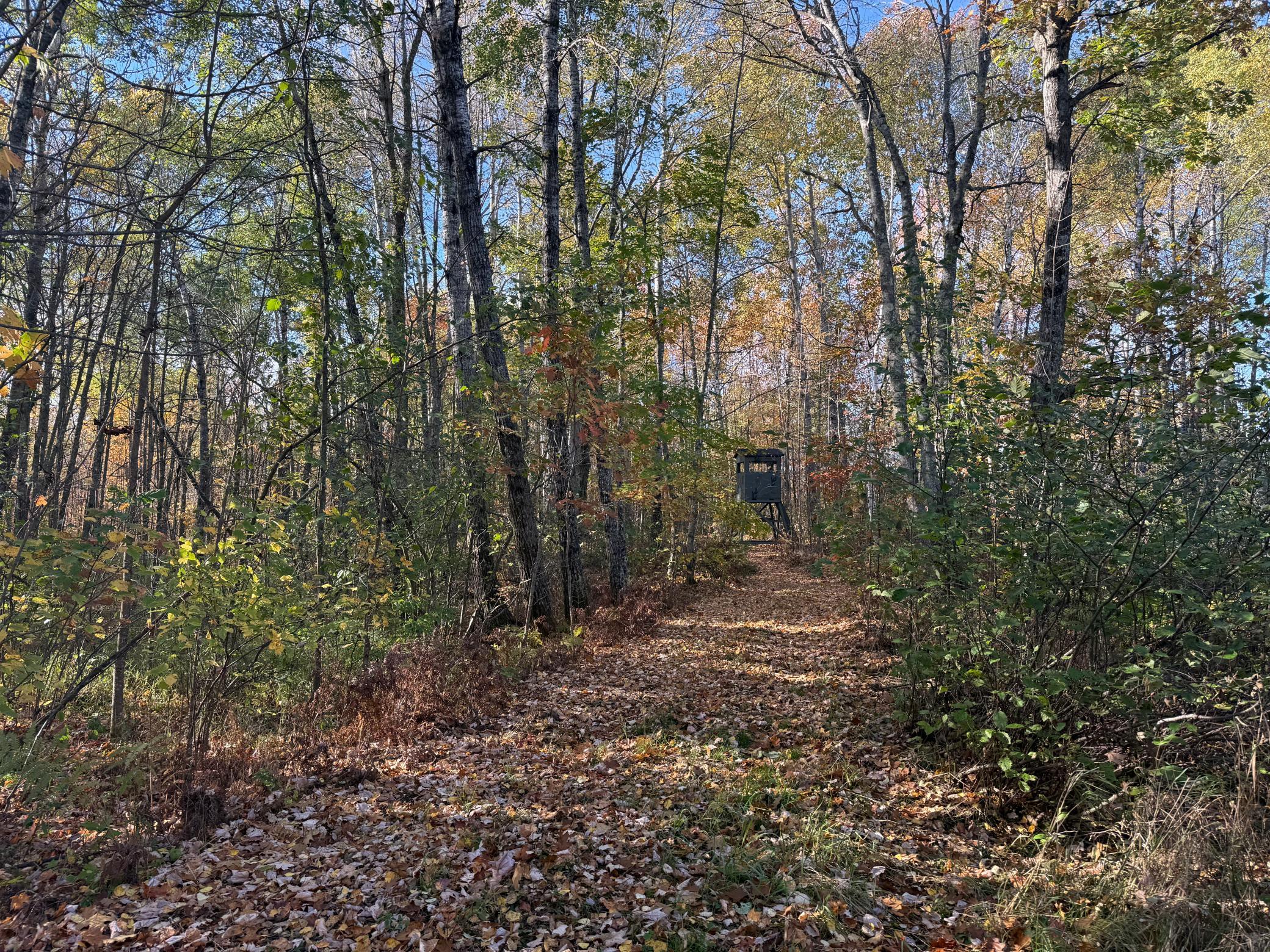 Na Na Na Barnum, MN 55707 - Photo 10 of 42