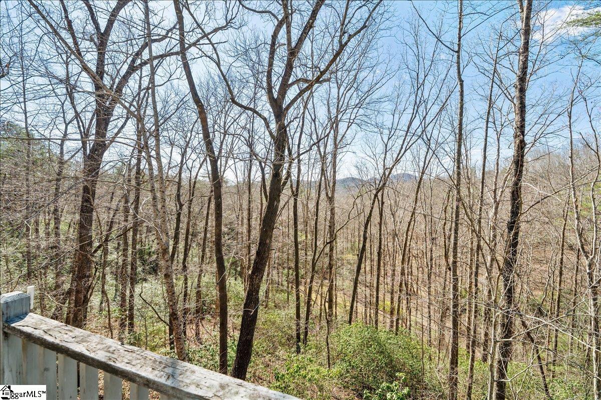 512 Doe Run Pickens, SC 29671 - Photo 36 of 43