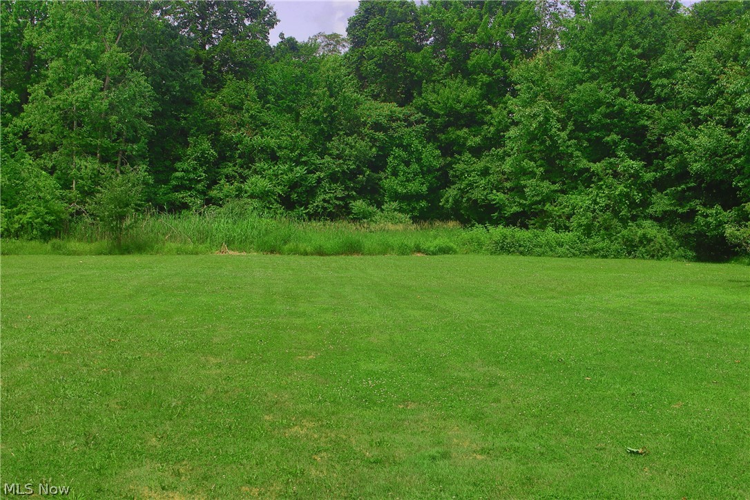 7250 Brakeman Road Painesville, OH 44077 - Photo 7 of 17 Expansive green lawn bordering a dense forest line