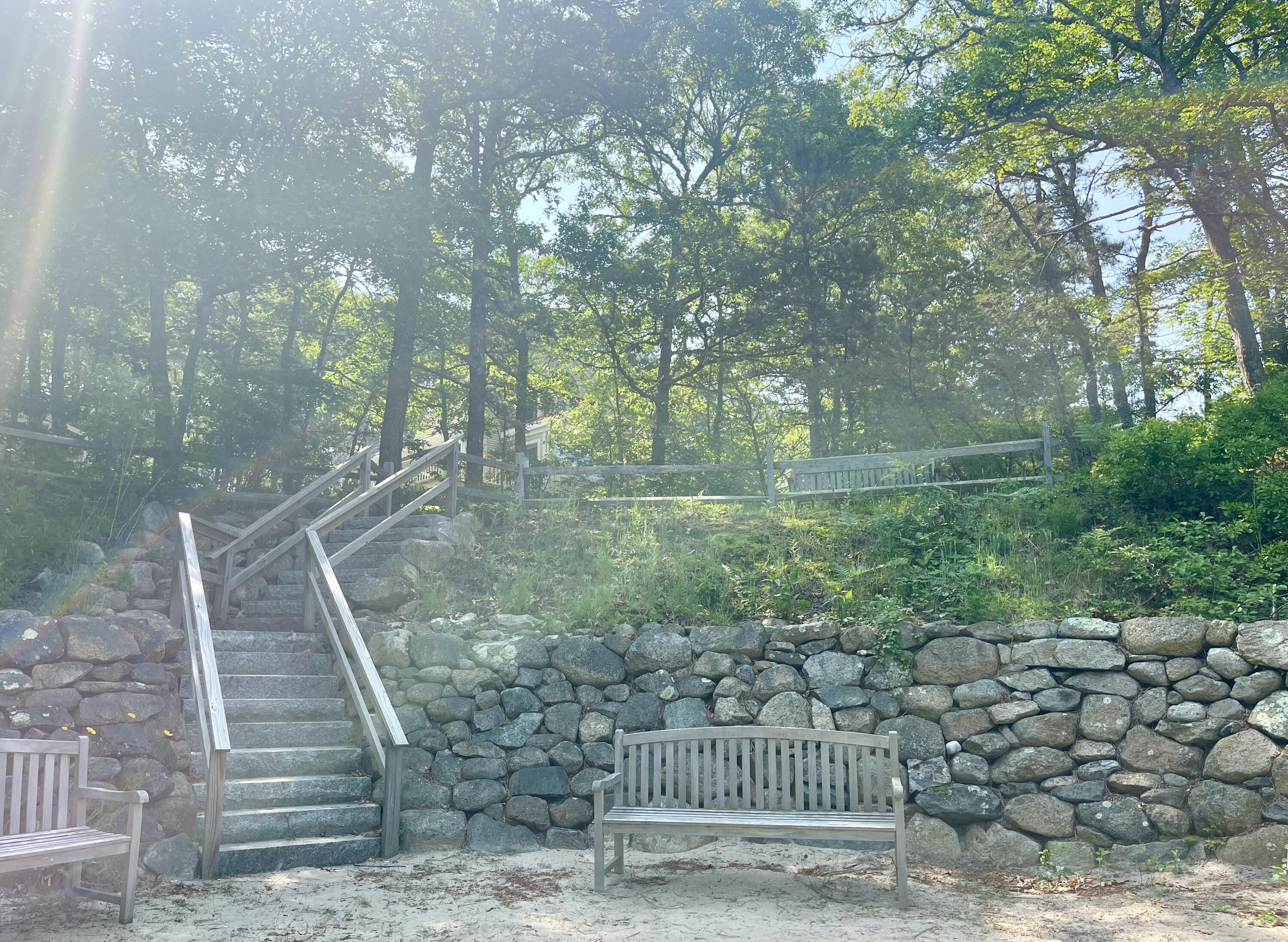 94 Pine View Drive Brewster, MA 02631 - Photo 47 of 51 IMG_7044